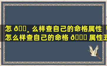 怎 🕸 么样查自己的命格属性「怎么样查自己的命格 🍀 属性五行」